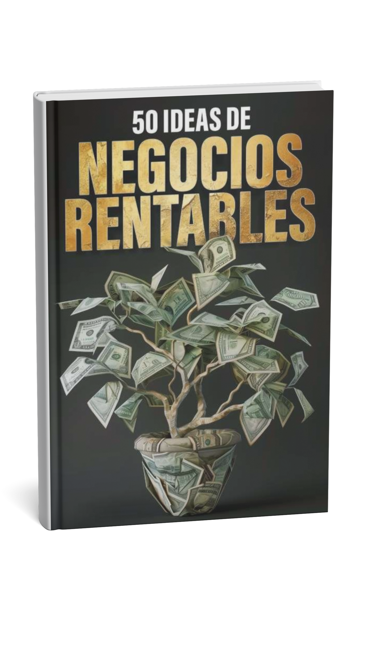 Negocios Rentables: Las 50 Mejores Ideas para Emprender en 2025